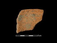 藏品(陶罐)的圖片