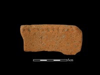 藏品(陶罐)的圖片