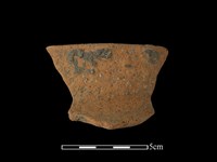 藏品(陶罐)的圖片