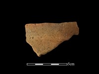 藏品(陶罐)的圖片