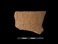 藏品(陶罐)的圖片