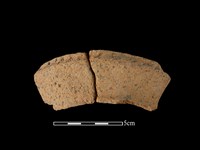 藏品(陶罐)的圖片