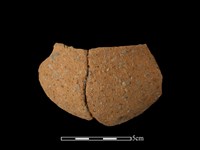 藏品(陶缽)的圖片