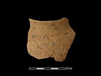 藏品(陶罐)的圖片