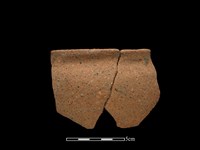 藏品(陶缽)的圖片