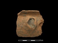 藏品(陶缽)的圖片