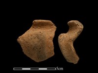 藏品(陶罐)的圖片