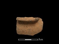 藏品(陶罐)的圖片