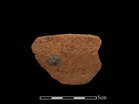 藏品(陶缽)的圖片