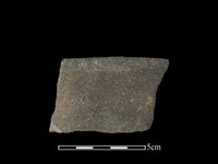 藏品(陶罐)的圖片