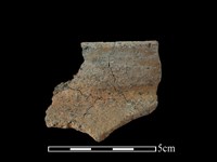 藏品(陶罐)的圖片