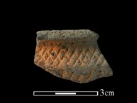 藏品(陶缽)的圖片