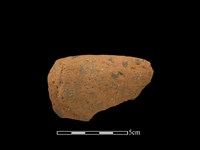 藏品(陶缽)的圖片