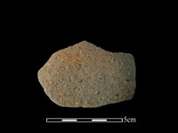 藏品(陶缽)的圖片