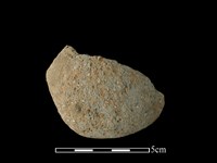 藏品(陶片)的圖片