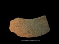 藏品(陶片)的圖片