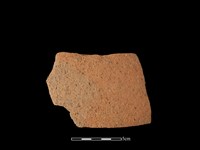 藏品(陶片)的圖片