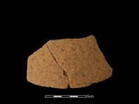 藏品(陶片)的圖片