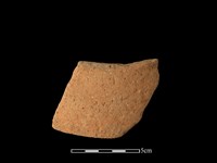 藏品(陶片)的圖片