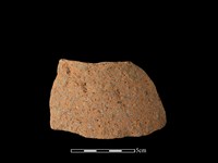 藏品(陶片)的圖片