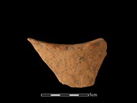 藏品(陶片)的圖片