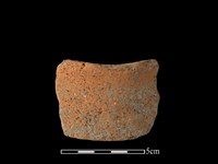 藏品(陶片)的圖片