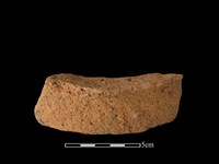 藏品(陶片)的圖片