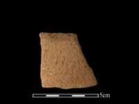 藏品(陶片)的圖片