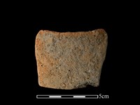 藏品(陶片)的圖片