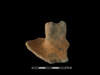 藏品(陶蓋及鈕)的圖片