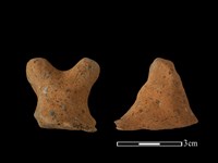 藏品(陶蓋鈕)的圖片