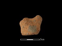 藏品(陶蓋鈕)的圖片