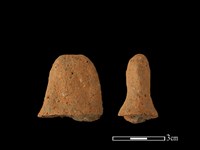 藏品(陶蓋鈕)的圖片