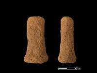 藏品(陶蓋鈕)的圖片