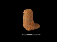 藏品(陶蓋鈕)的圖片