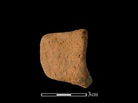 藏品(陶耳)的圖片