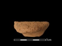 藏品(陶耳)的圖片