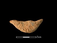 藏品(陶耳)的圖片