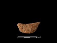 藏品(陶耳)的圖片