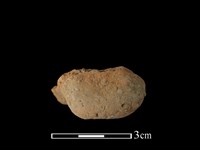 藏品(陶耳)的圖片