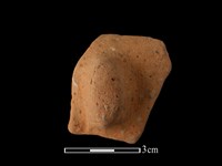 藏品(陶耳)的圖片