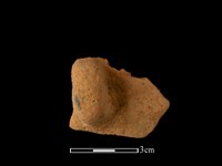 藏品(陶耳)的圖片