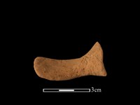 藏品(陶耳)的圖片