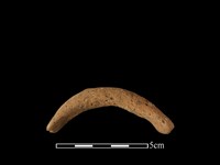 藏品(陶把)的圖片