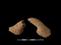 藏品(陶把)的圖片