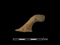 藏品(陶把)的圖片