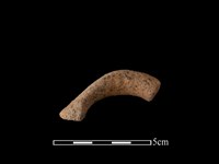 藏品(陶把)的圖片