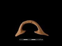 藏品(陶把)的圖片