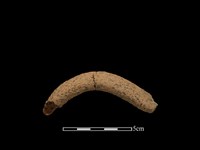 藏品(陶把)的圖片