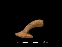 藏品(陶把)的圖片